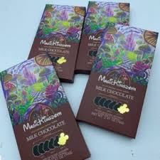 mk chocolate | magic kingdom chocolate bar
