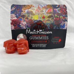 mk chocolate | magic kingdom chocolate bar | Mk gummies | Magic Kingdom gummies