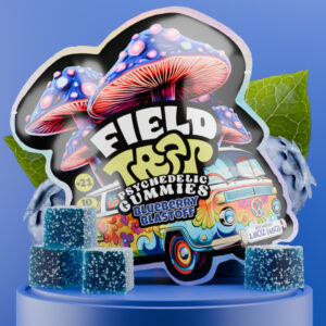 Field Trip Psychedelic Gummies